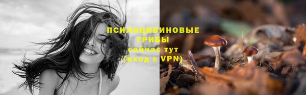 круглые Алексеевка
