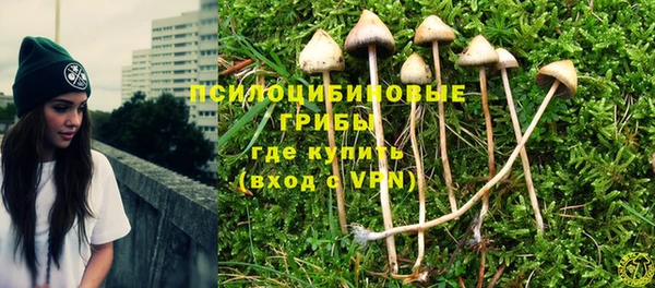 PSILOCYBIN Алексин