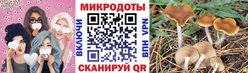 Галлюциногенные грибы MAGIC MUSHROOMS  Приволжский 